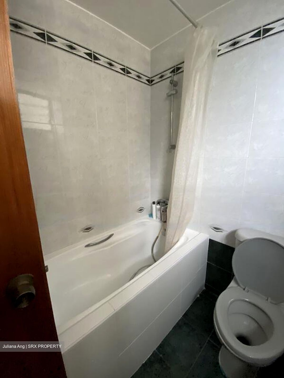 Sommerville Park (D10), Condominium #434300181